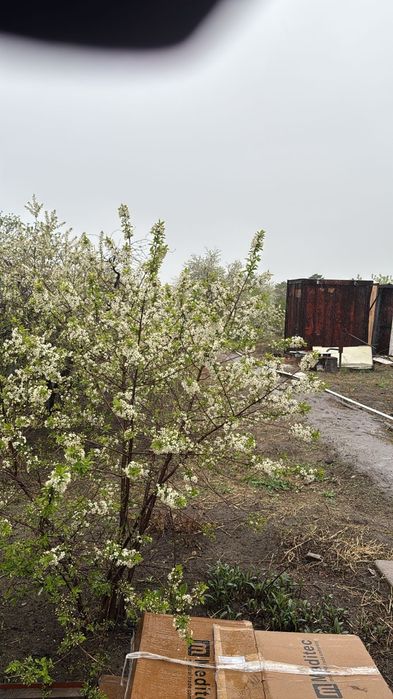 Продам дачу в районе Зеленстроя