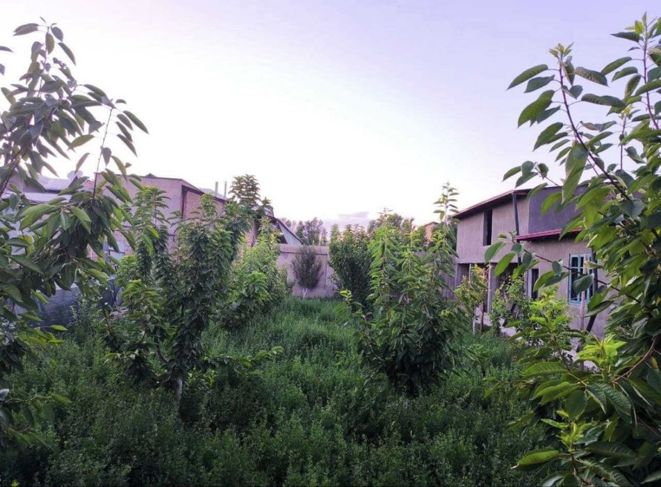 Qumariq mahalla 10,88 сотих ховли уй