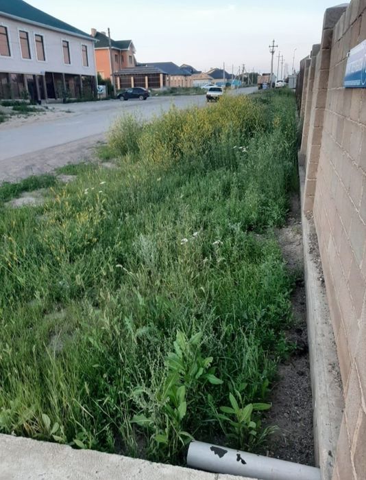 Покос травы бензотриммером
