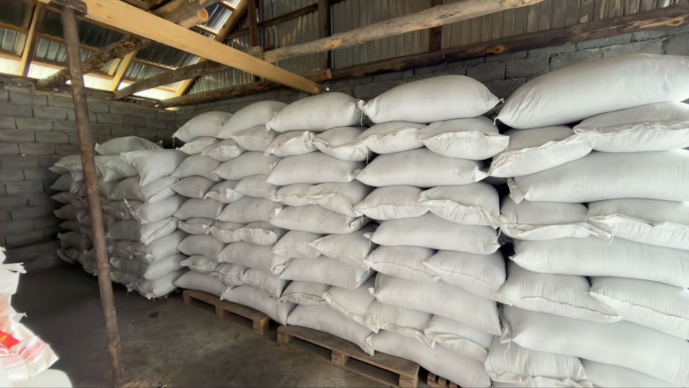 Беде. Жонышка тукым. Семена Люцерна