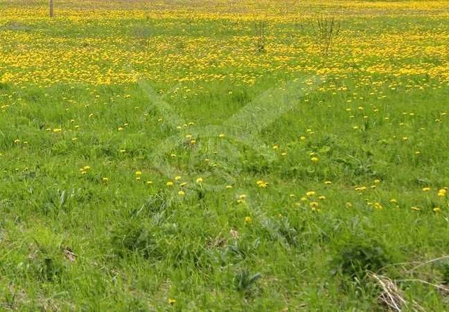 Парцел Индустриална зона Север 67822