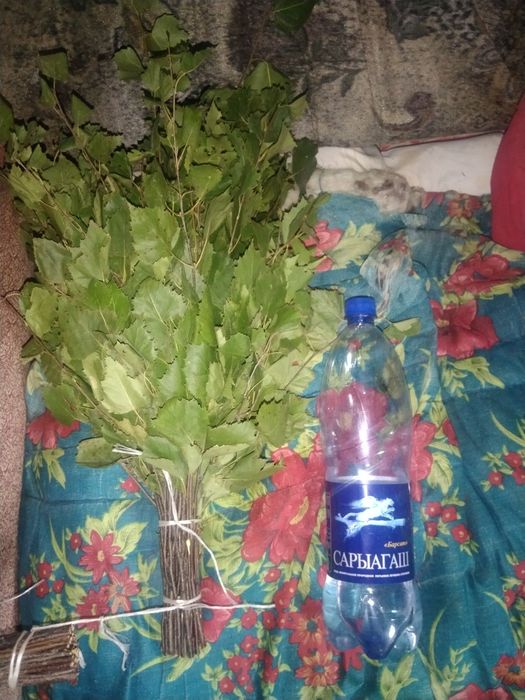 Берёзовые веники
