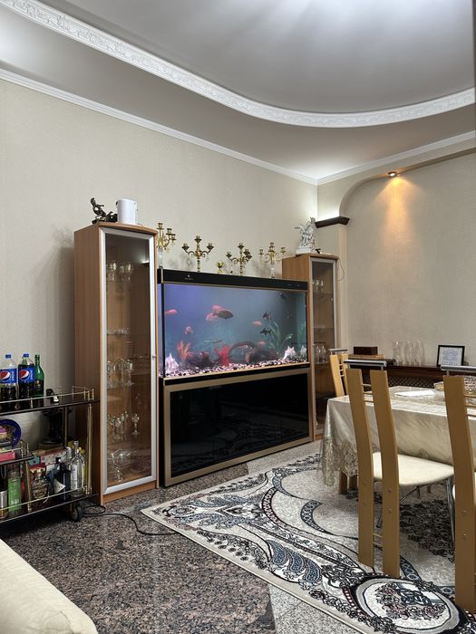 Профессиональная чистка и обслуживание аквариумов