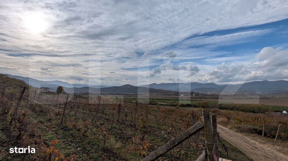 Teren pretabil pentru cabana, cu view