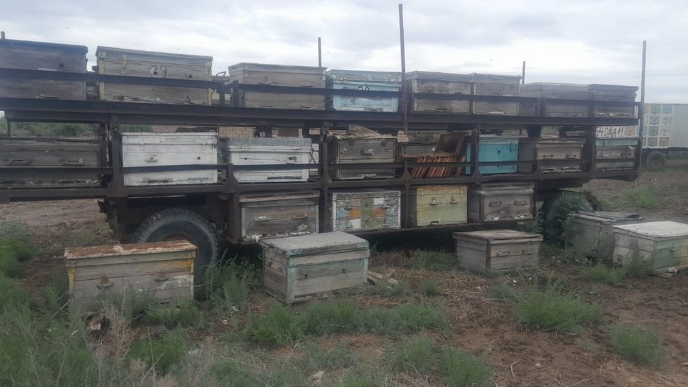 Продается пчеловодческий прицеп