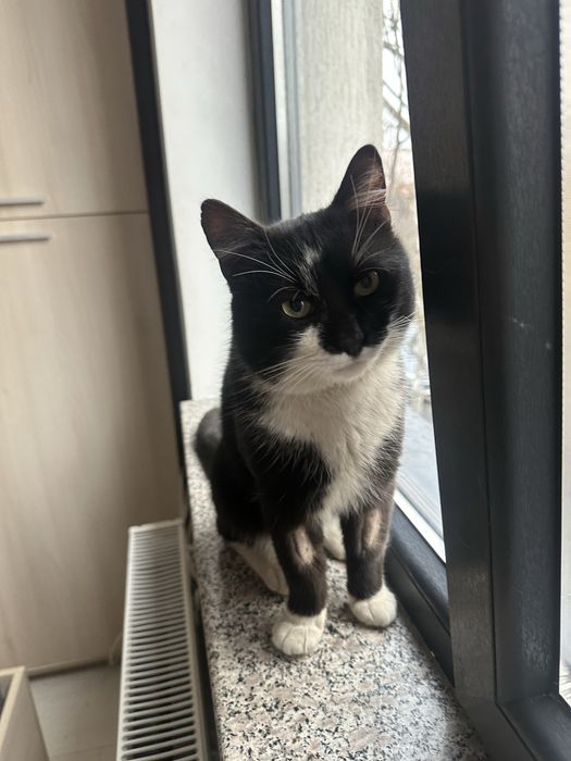 James Bond cauta casuta