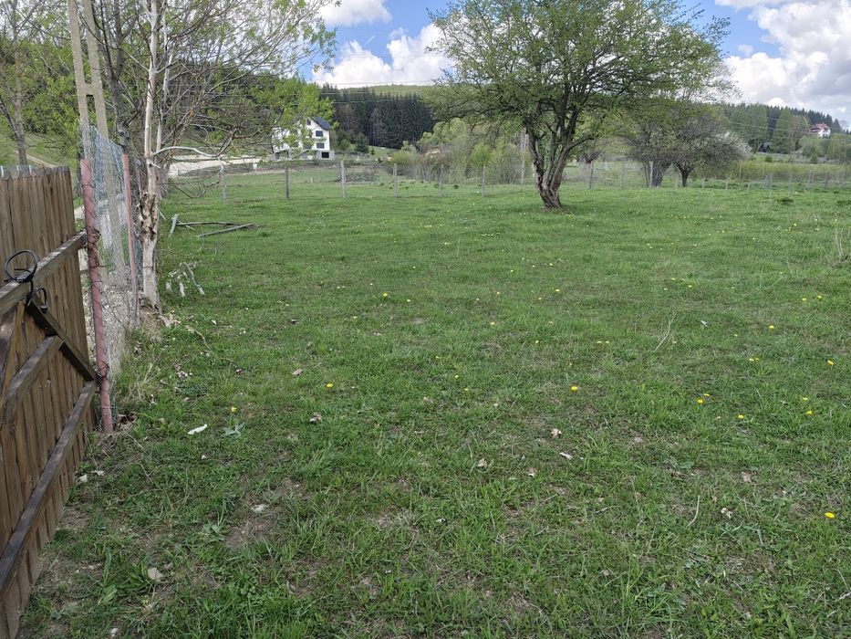 Vand teren Valea Doftanei 1644 mp