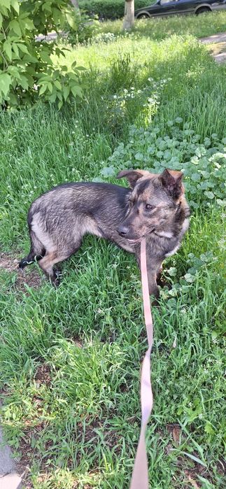 Девочка в ответственные руки