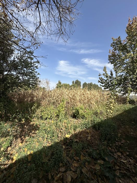 Земля Продаётся Ташкентский обл. Район Кибрай Маданият 24-Сотки