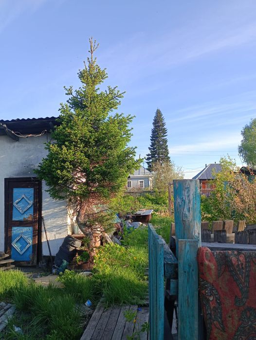 Продам 3-х комнатный дом