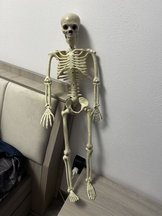 Schelete uman plastic dur