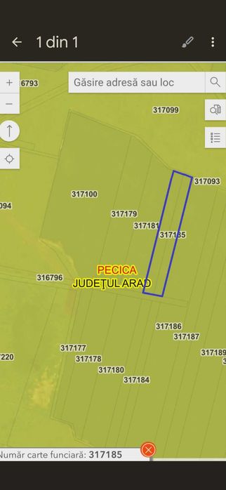 Vand teren agricol  3,9 ha Pecica (zona Turnu) liber de contract