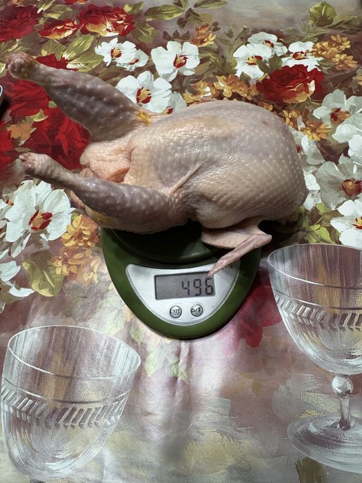 Перепелиное Мясо