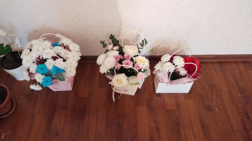 Продам цеты каждый по 5 тыс