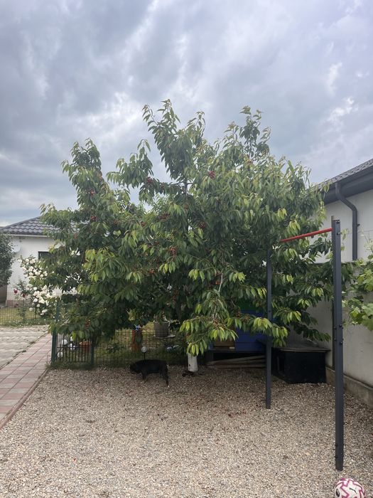 Casă 3 dormitoare, 115mp, teren 400 mp, panouri solare, Cumpăna – 190.000 €