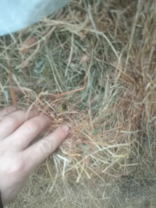 Baloți de fân și otava