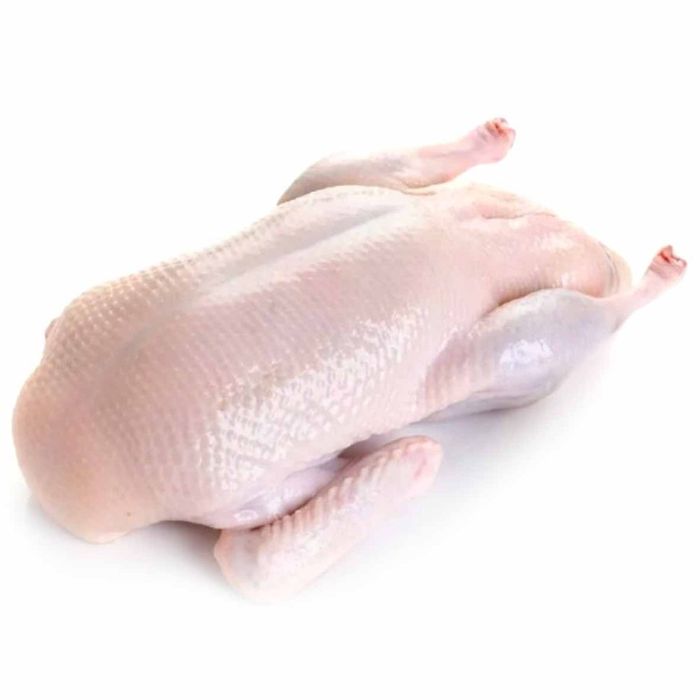 Продаём домашних гусей!