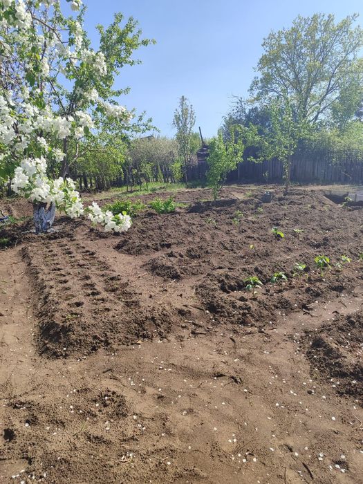 Продам дачу  содоводство яблонька