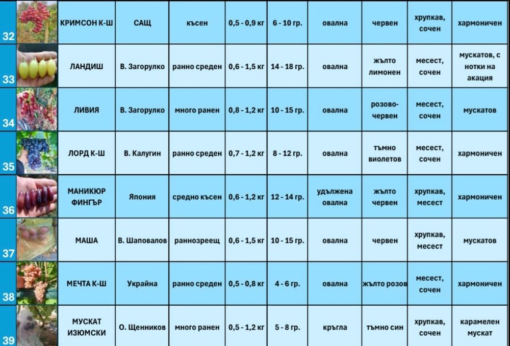 Резници от десертни сортове грозде безсеменни лозе лозарство