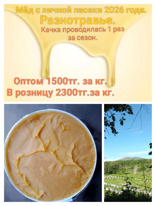Мёд с личной пасеки 1500тг.