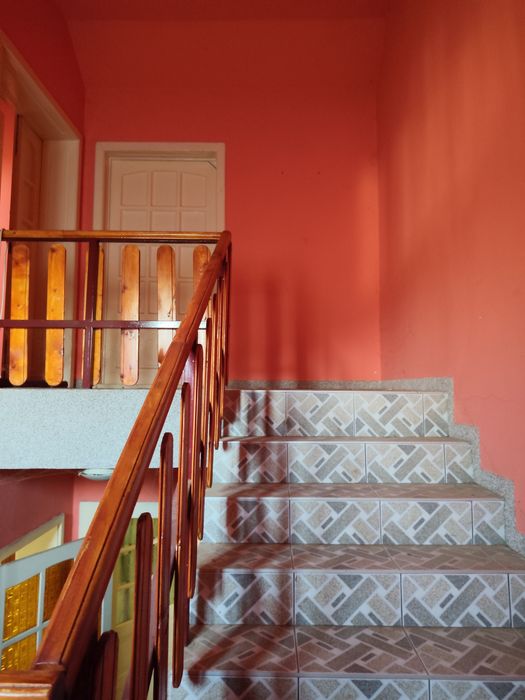 casa de vanzare Satu Mare strada Bradului