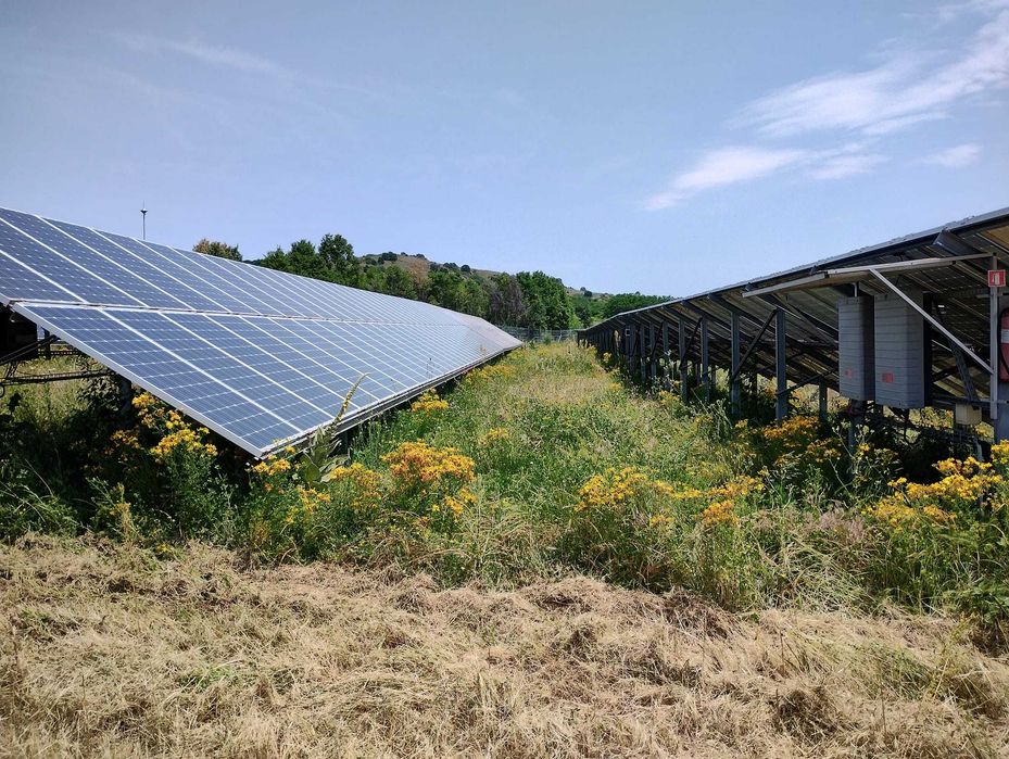 Косене на соларни централи