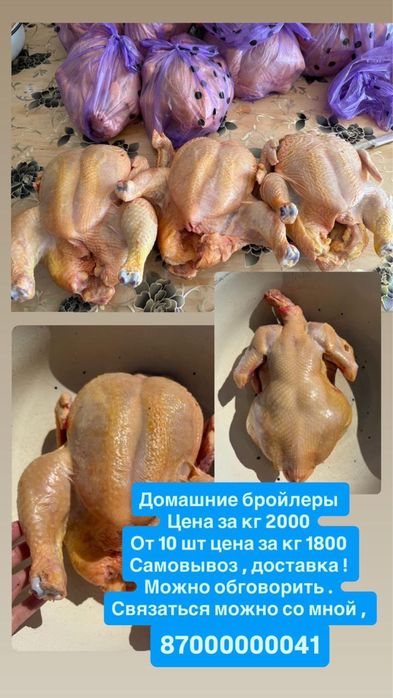 Куры домашние вкусные сочные