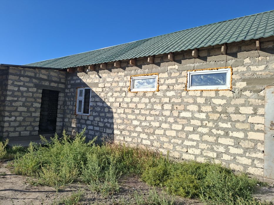 Курилкино, недостроенным домом