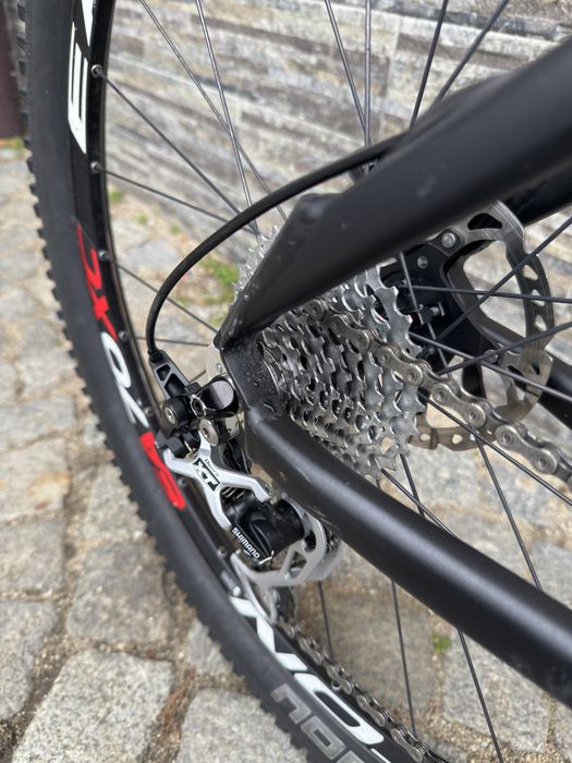 Планински твърдак Rose размер: 26/51см