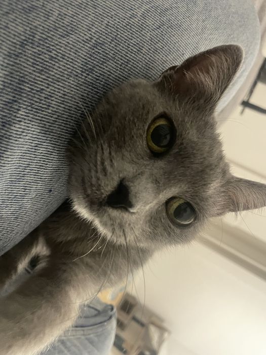 Stormi isi cauta casuta