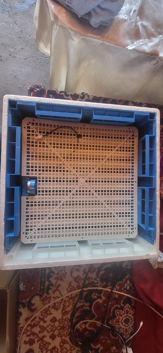 Инкубатор Умница