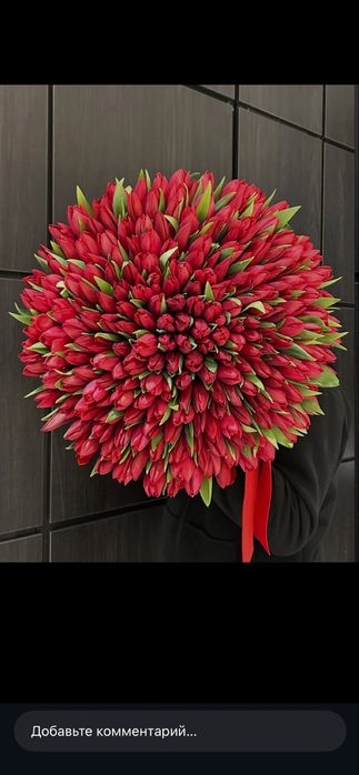 Тюльпаны продаю по 800 тнг