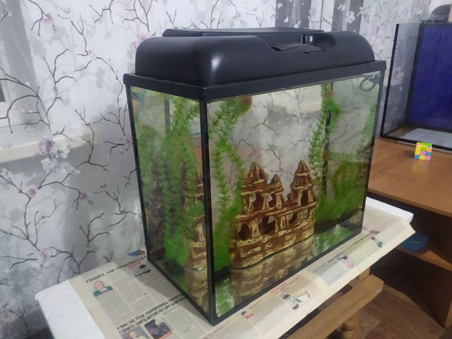 Новый аквариум 60л + бонусы и рыбки.