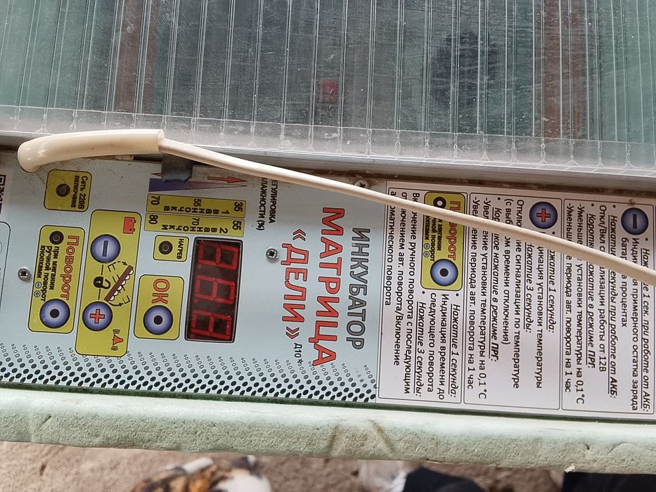 Инкубатор блиц 72