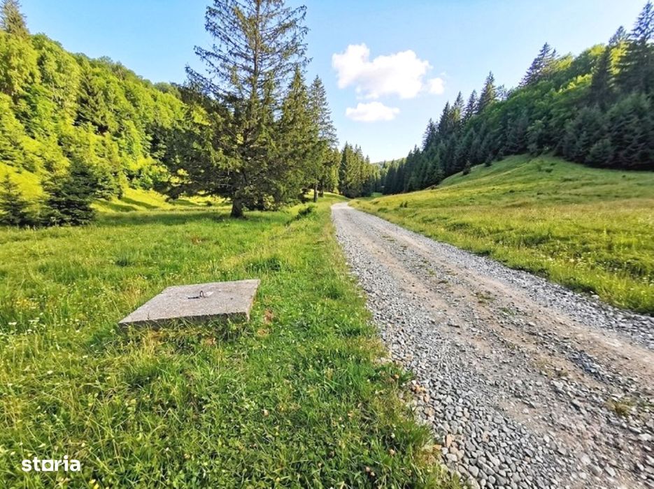 Poiana Brașov, Teren intravilan 2.763 mp , utilitati, Str. Stânii,
