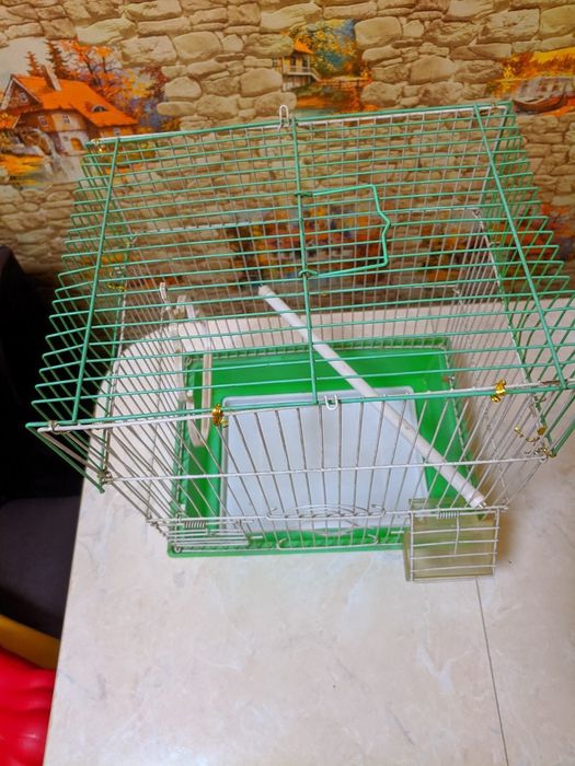 Qafas sotiladi. Algoritm 31 kvartalda.