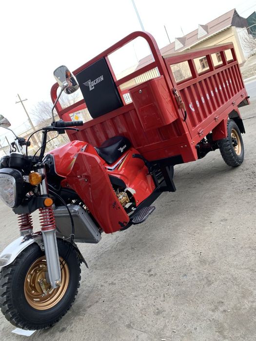 Lochin Moto 300sm³ Yangidek