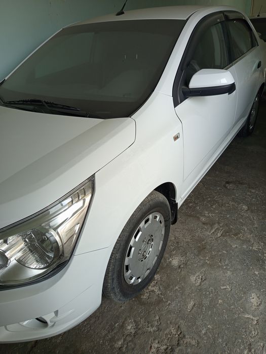 янгидай турибти,