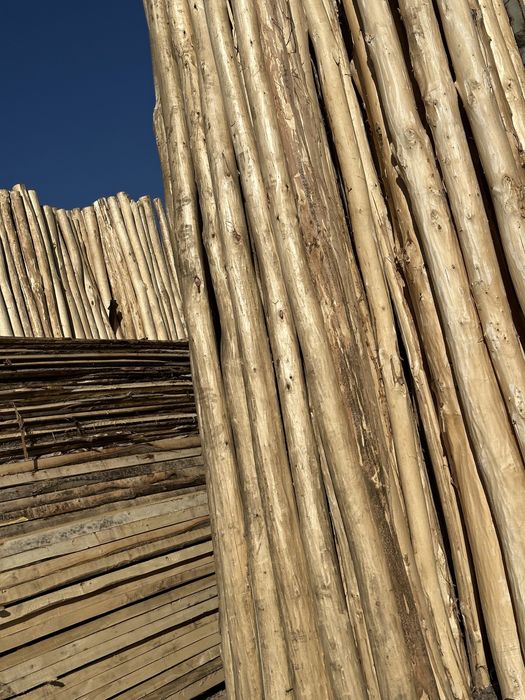 Терек Тосин Доставка