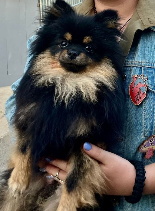 Ищем подружку для вязки.