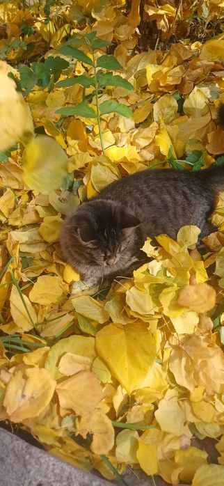 2мальчика 1девочка. Очень тактильные игривые