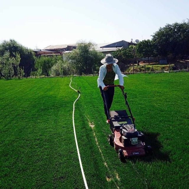 Ландшафт с нуля Полив и посадка.