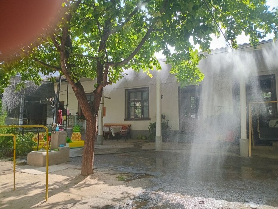 Olmazor tumani mevazorda 8 sotix