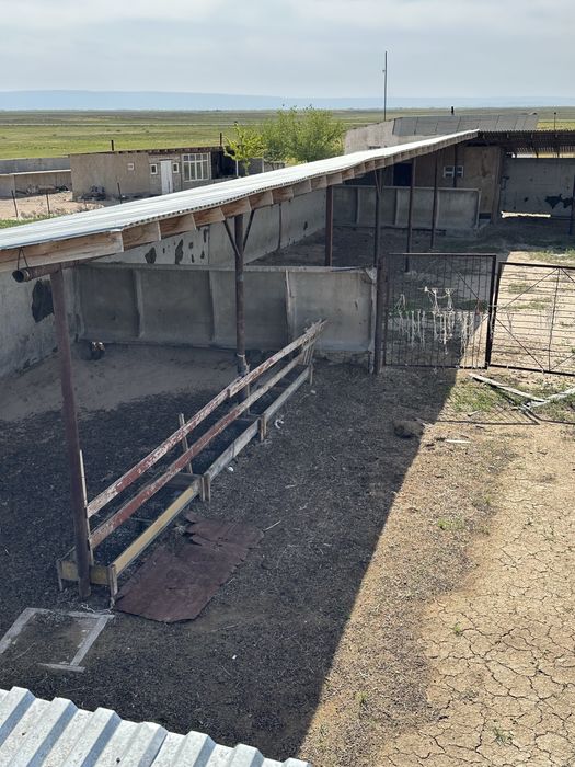 Продаётся фазенда