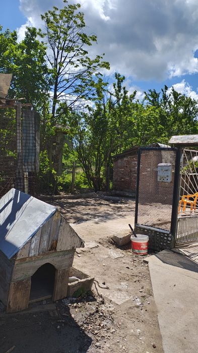 Транспортни и хамалски услуги кърти чисти извозва