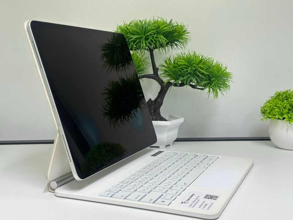iPad Pro / 256gb / Akb: 81% /