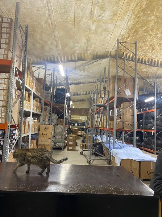 Электрик 24/7 Атырау