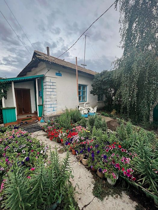 Продам Дом Бестобе напротив 101/Wildberries