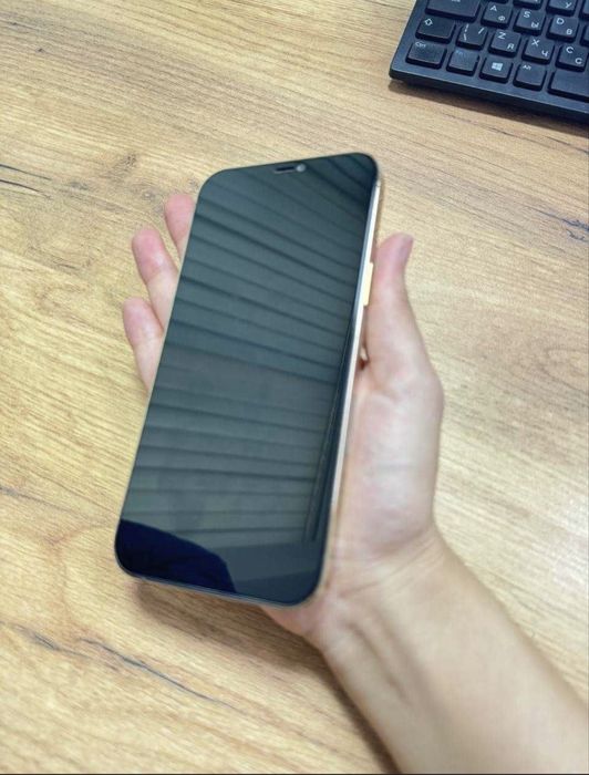 iPhone 12 Pro Max