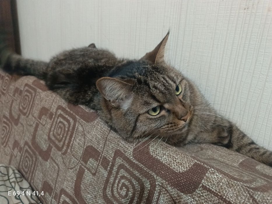 Электро самокат Куго М